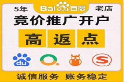 SEM代运营公司成功案例：助力企业快速实现盈利
